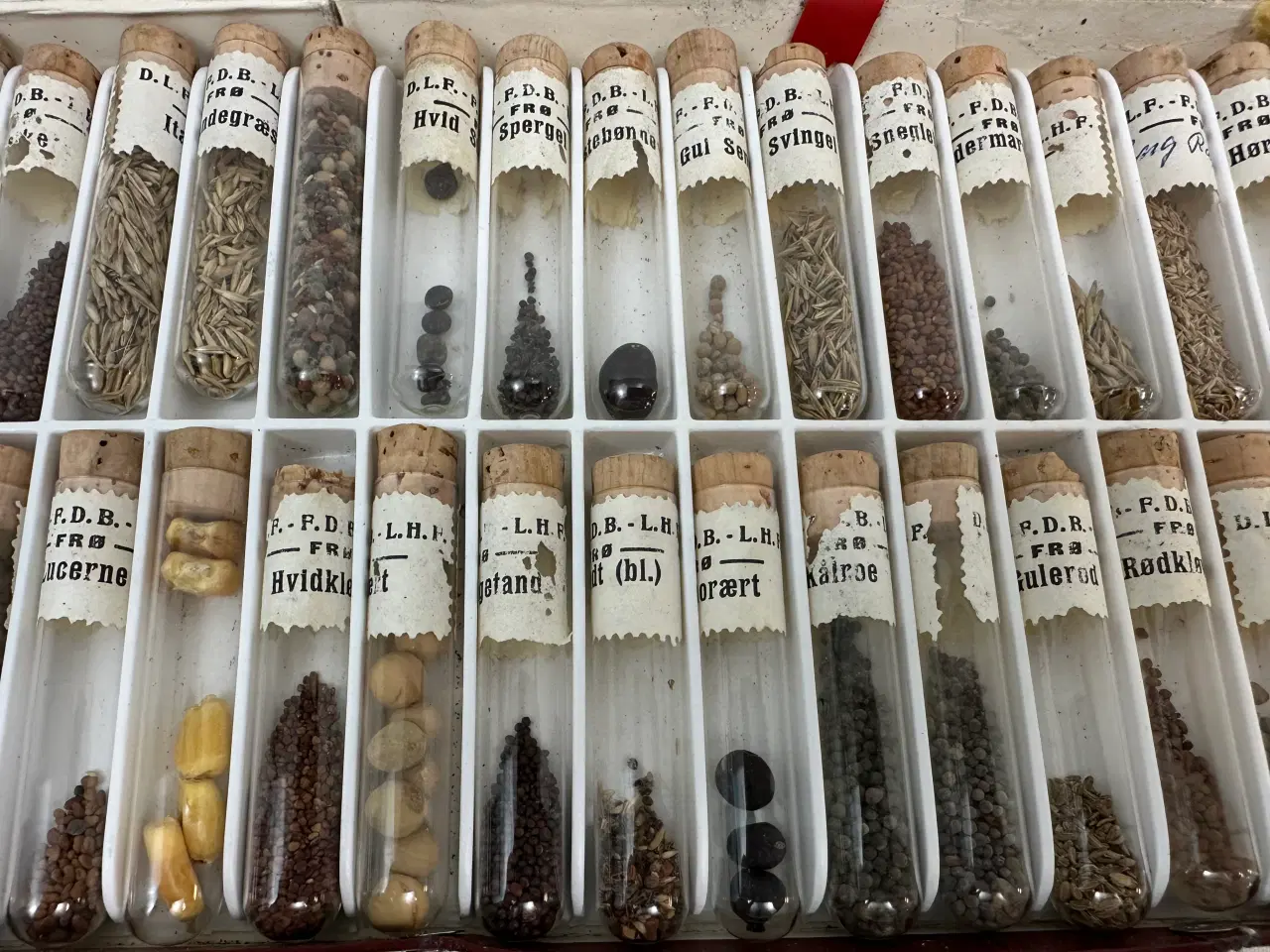 Billede 7 - Ældre frøsamling i 36 cylindere 