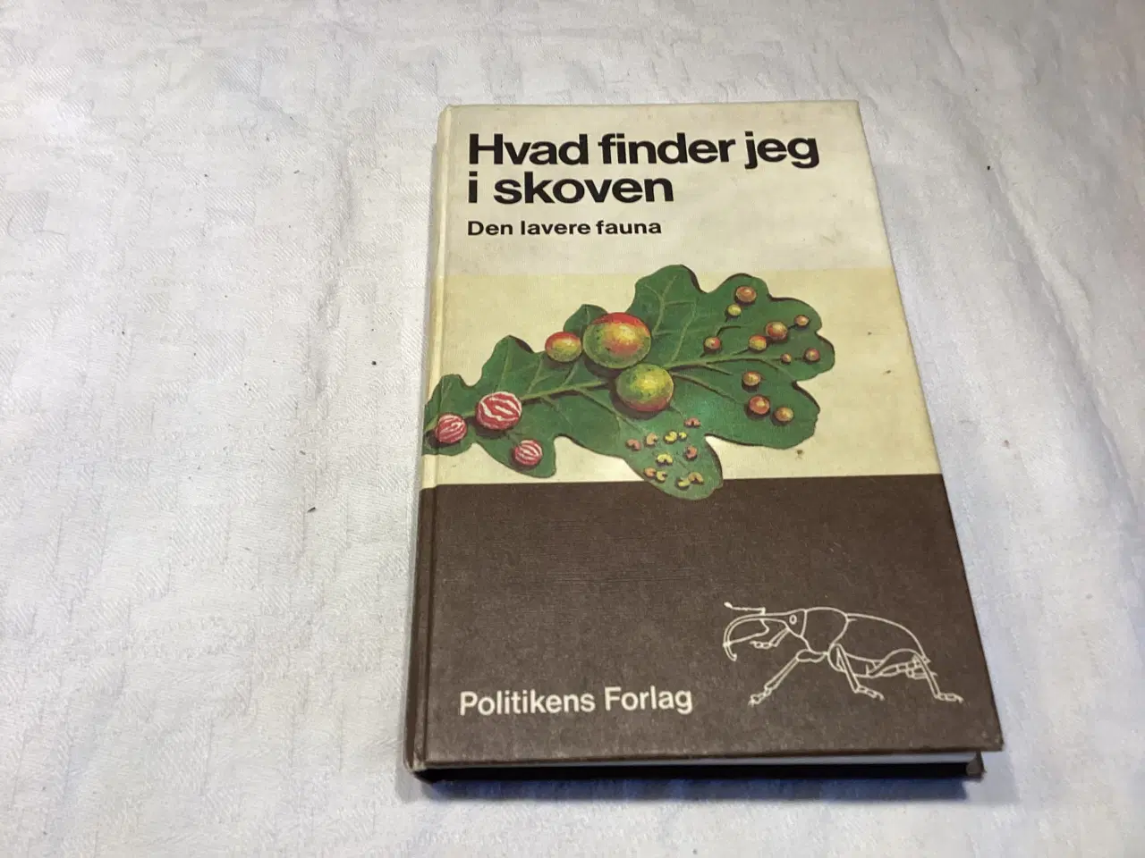 Billede 1 - Hvad finder jeg i skoven - den lavere fauna