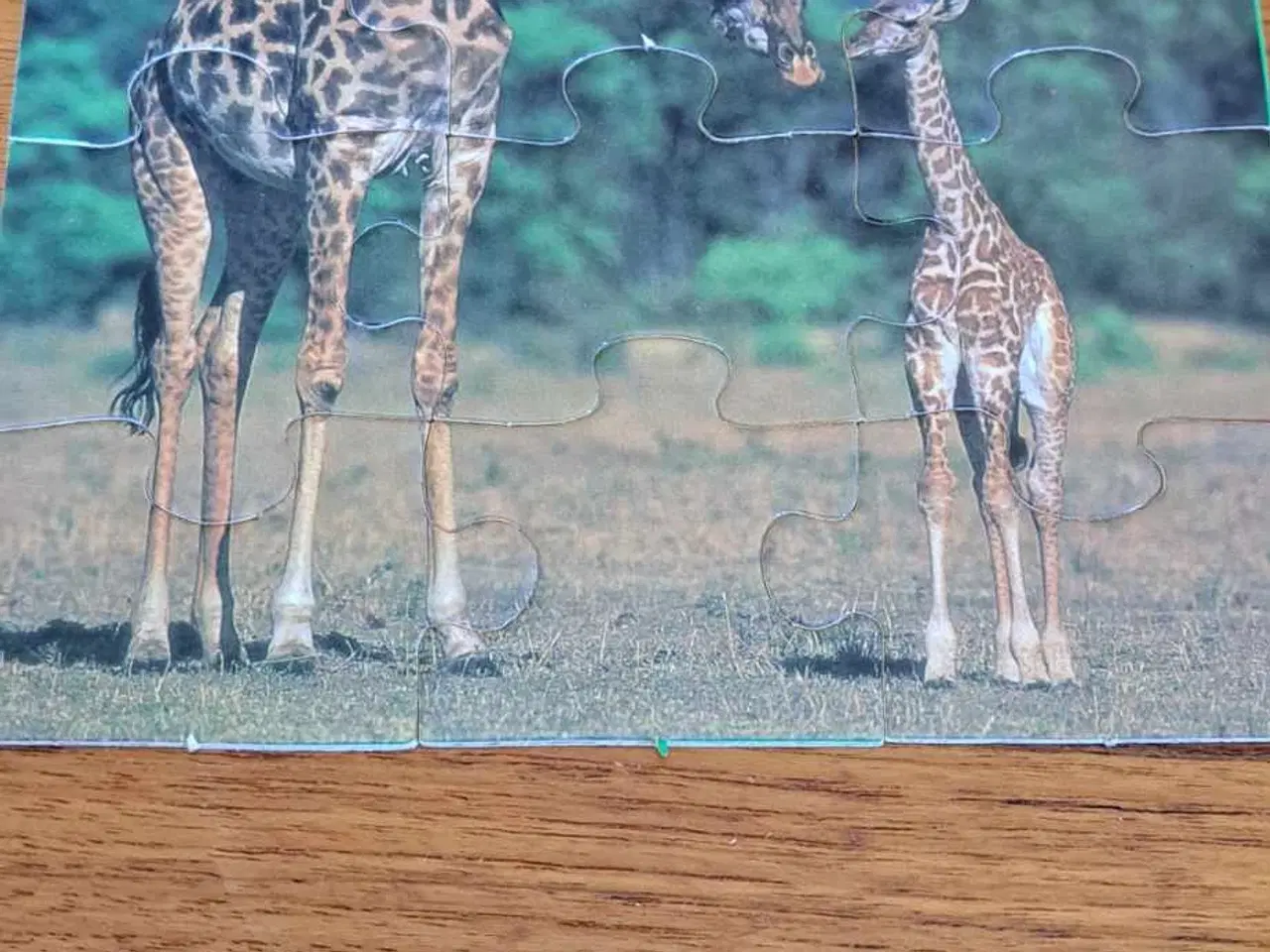 Billede 2 - Puslespil def er med zebra og giraf og elefanter 