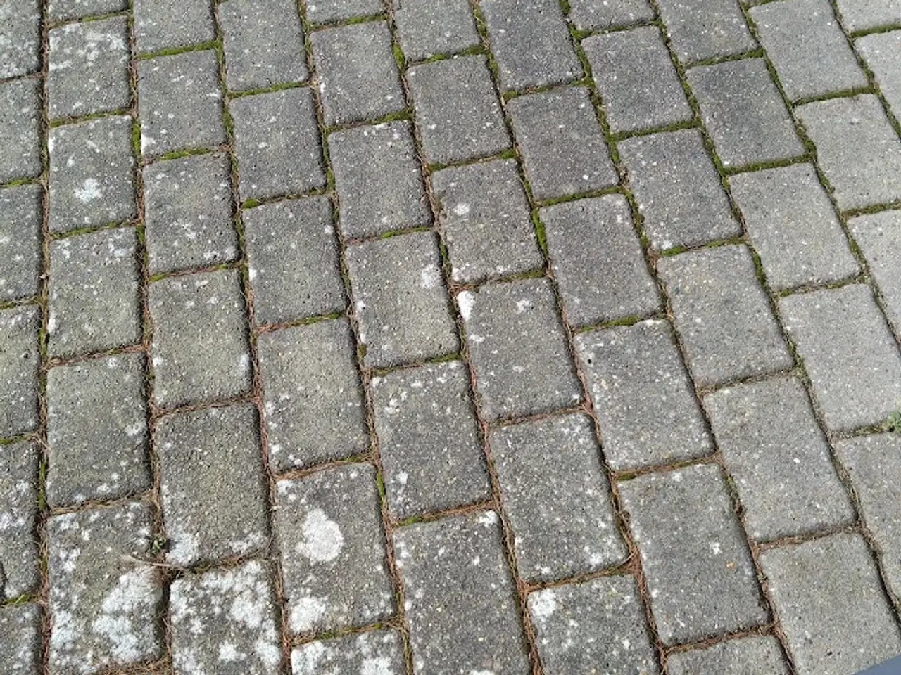 Billede 2 - Gratis fliser 21 * 14 cm