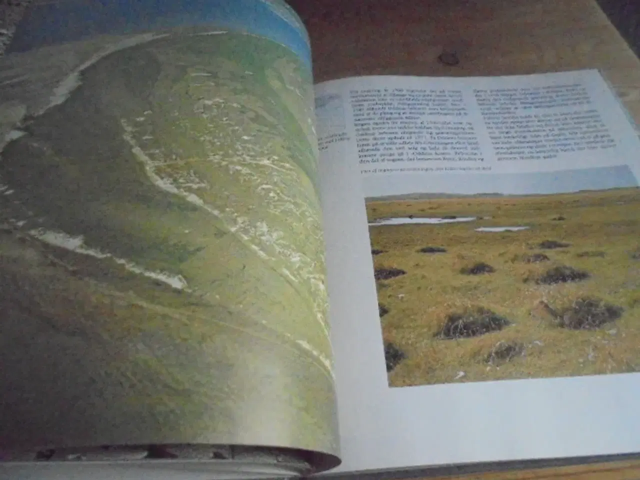 Billede 6 - Fanø – bebyggelse og landskaber  