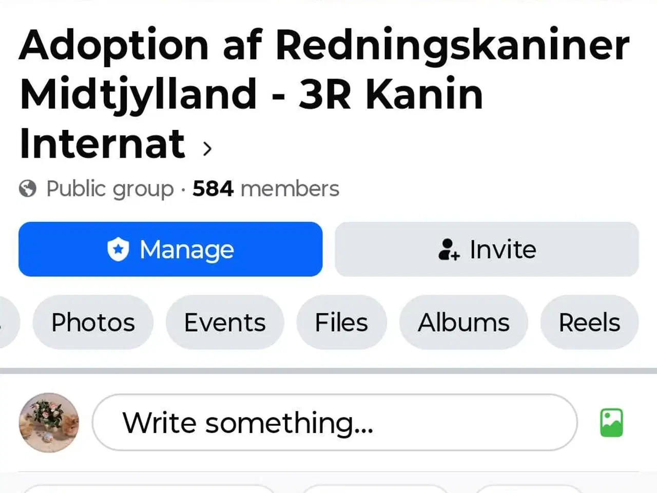 Billede 2 - Kastreret Han dværg kanin