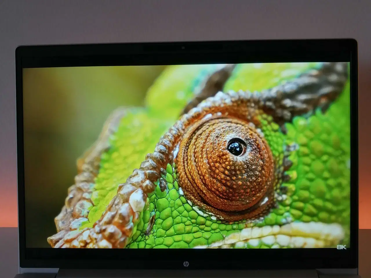 Billede 6 - Hp Probook 445 G11 