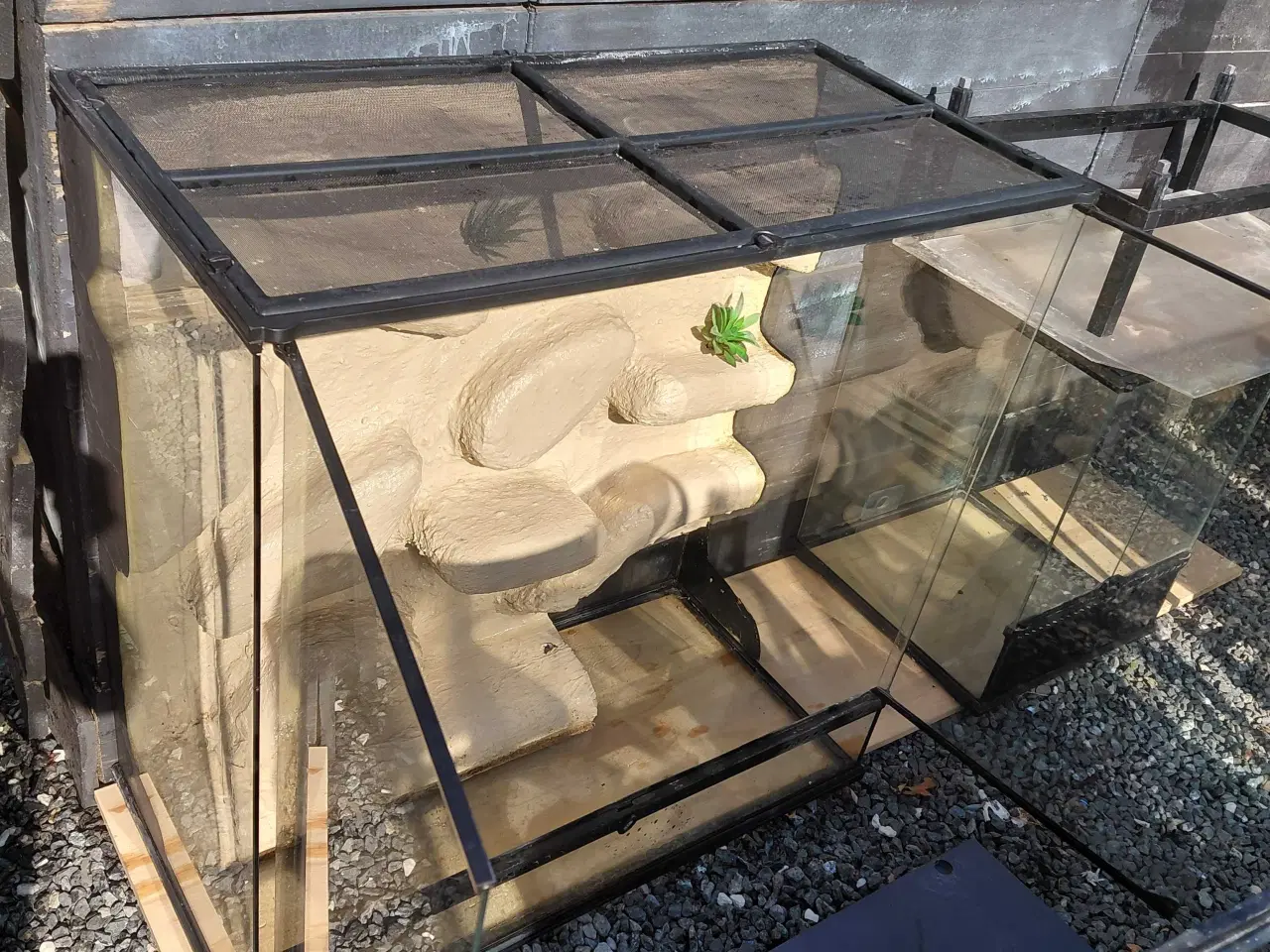 Billede 6 - Terrarium 