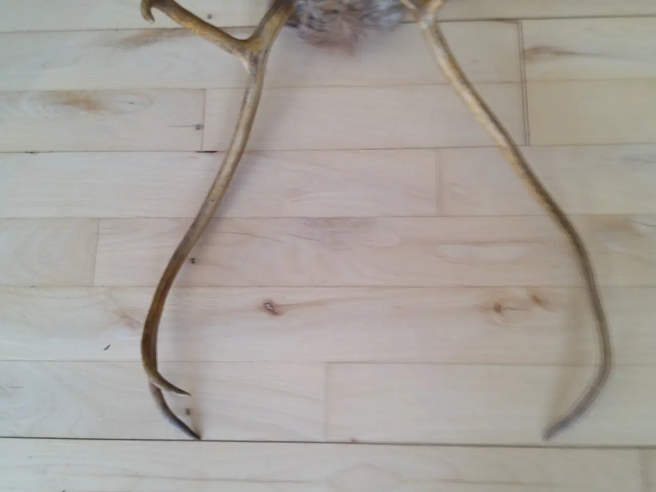 Billede 6 - Gevir til ophæng.