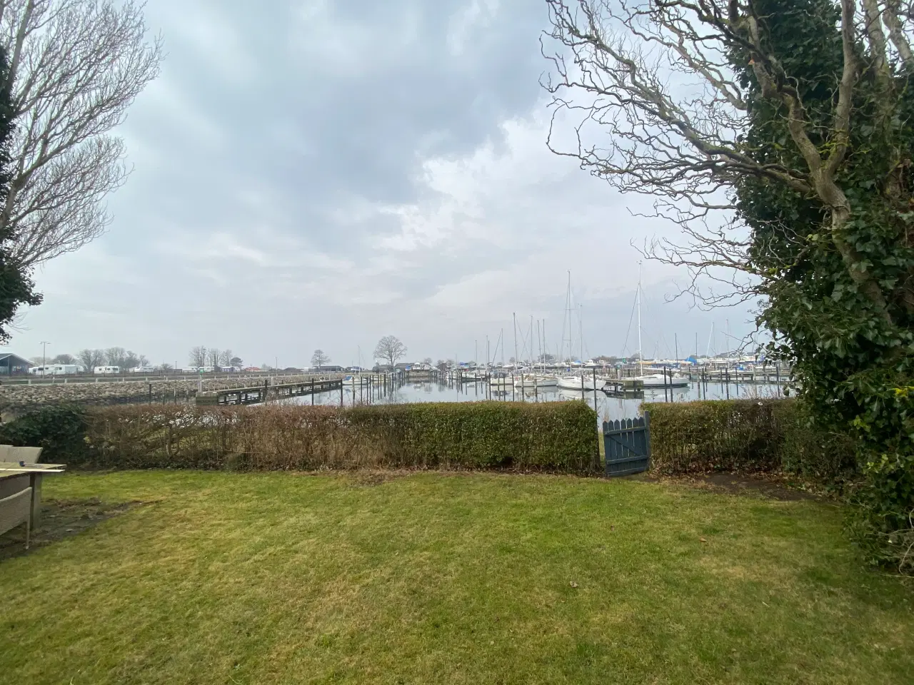 Billede 2 - Kolonihave med udsigt til Assens Marina 
