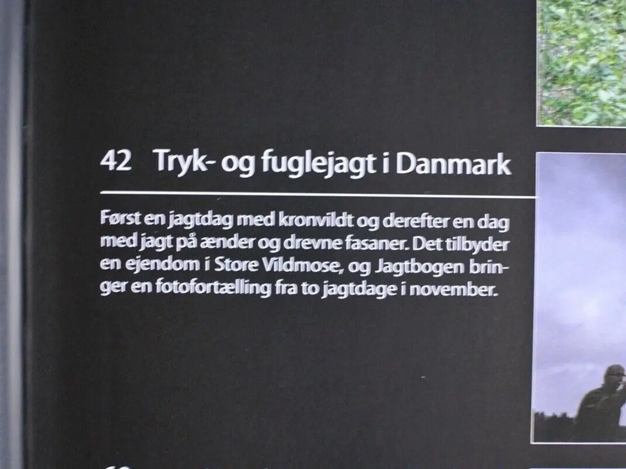 Billede 2 - jagtbogen - råbukken og mange andre oplevelser fra