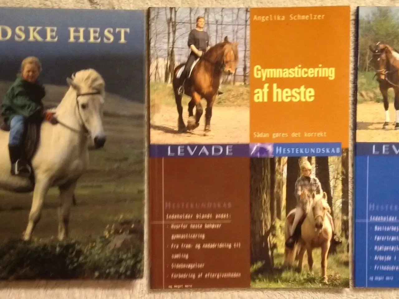 Billede 1 - 13 Hestebøger