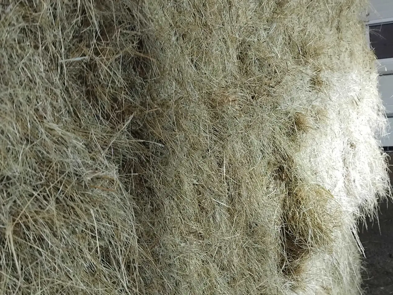 Billede 2 - Hø velegnet til heste