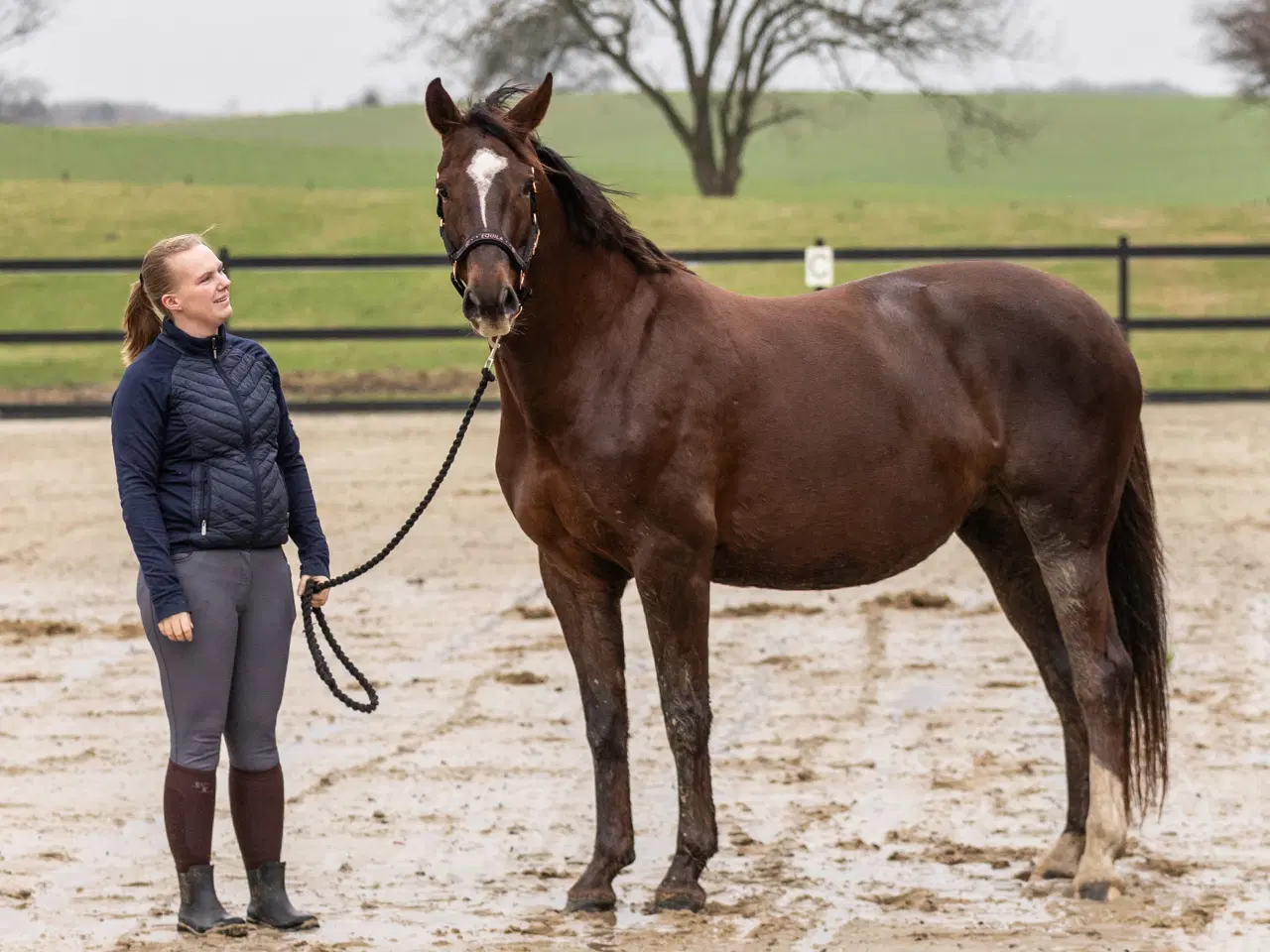 Billede 3 - Min elskede hoppe søger nyt hjem.