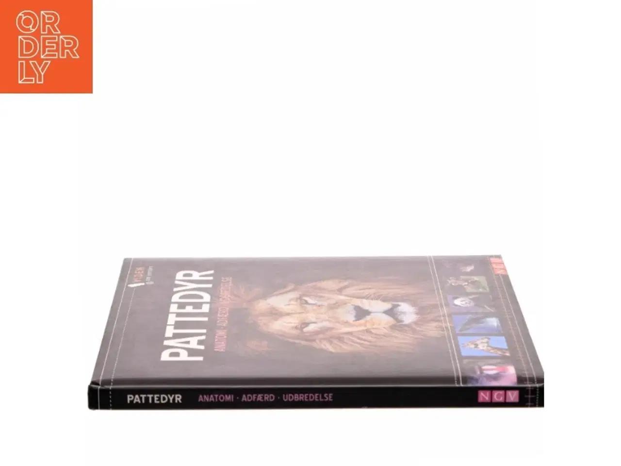 Billede 2 - Pattedyr (Bog)