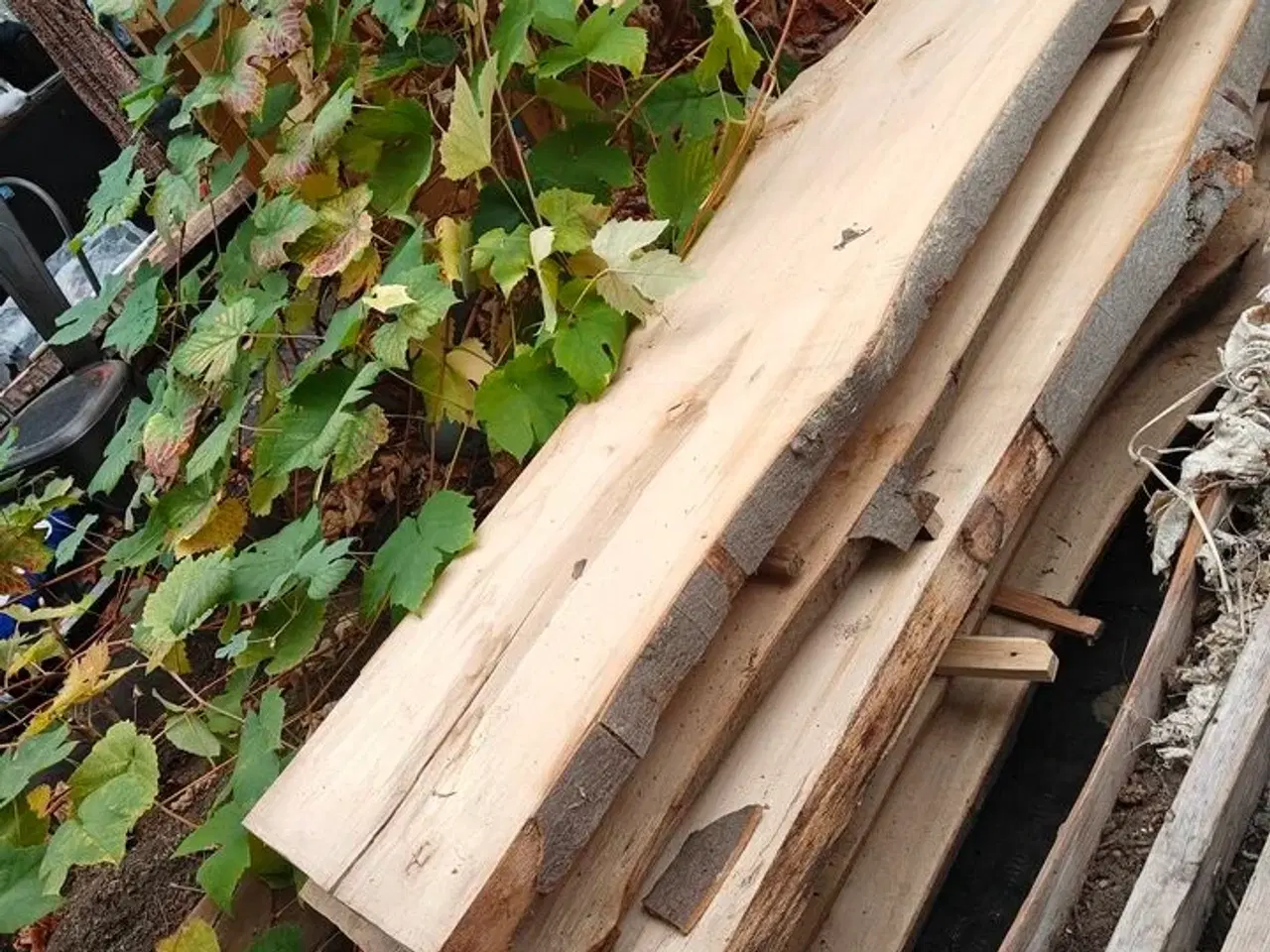 Billede 6 - 6 stk. Bøgetræsplanker str. 300 x 45 x 4,5