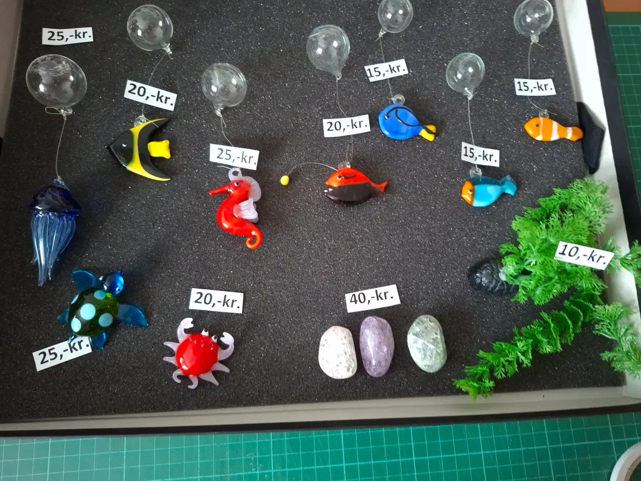 Billede 1 - Diverse akvarieglasfisk m.m