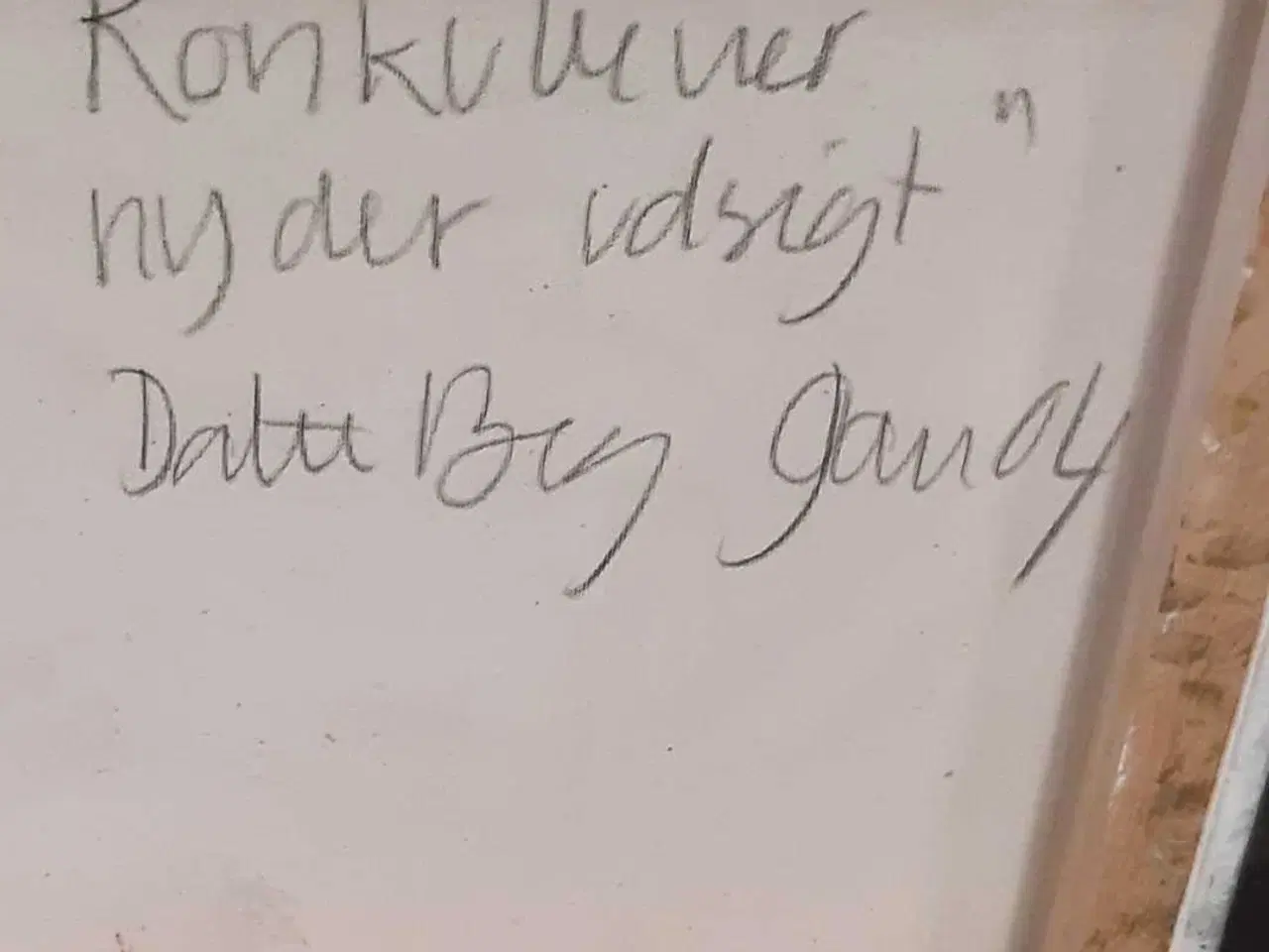 Billede 4 - Konkubiner