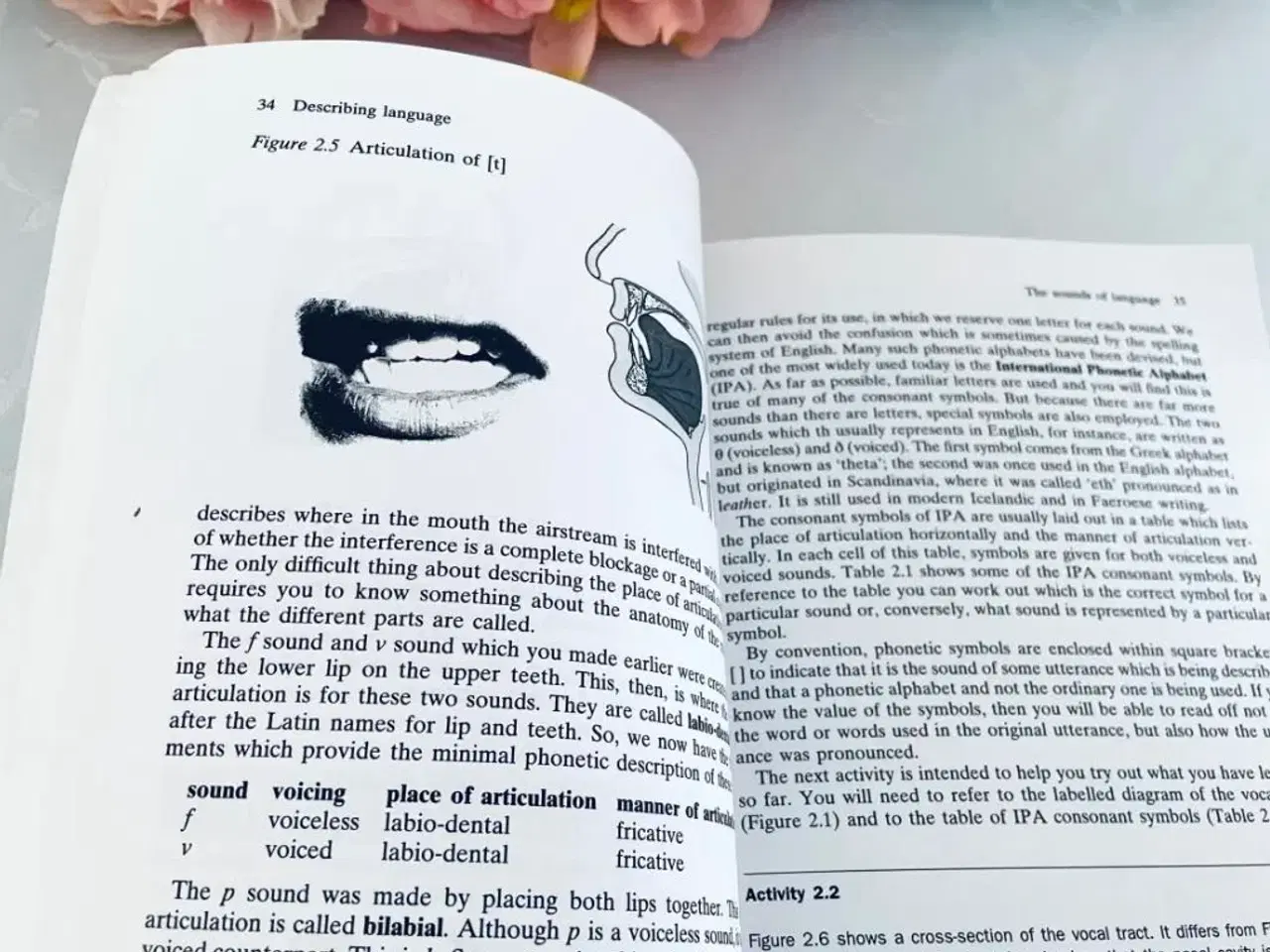 Billede 5 - Describing Language