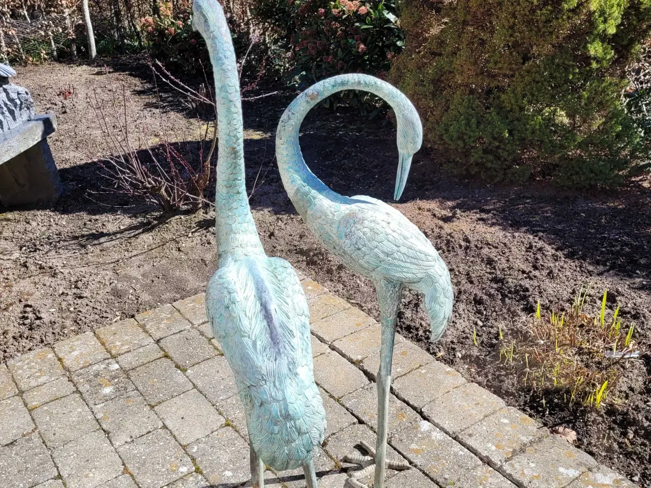 Billede 2 - Grønirret Tranepar