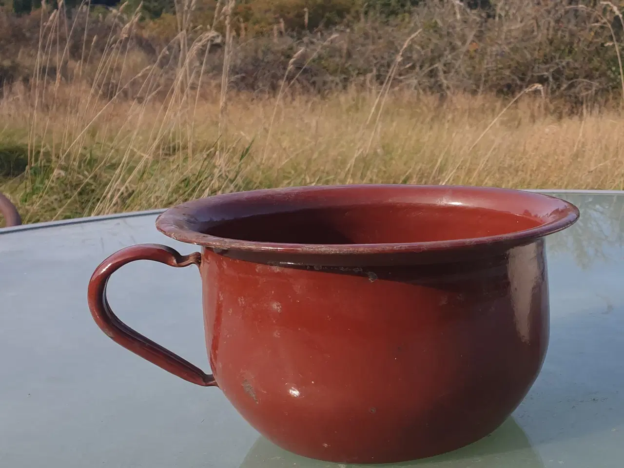 Billede 3 - Skab liv i efteråret med Gamle Flotte Emaljerede P