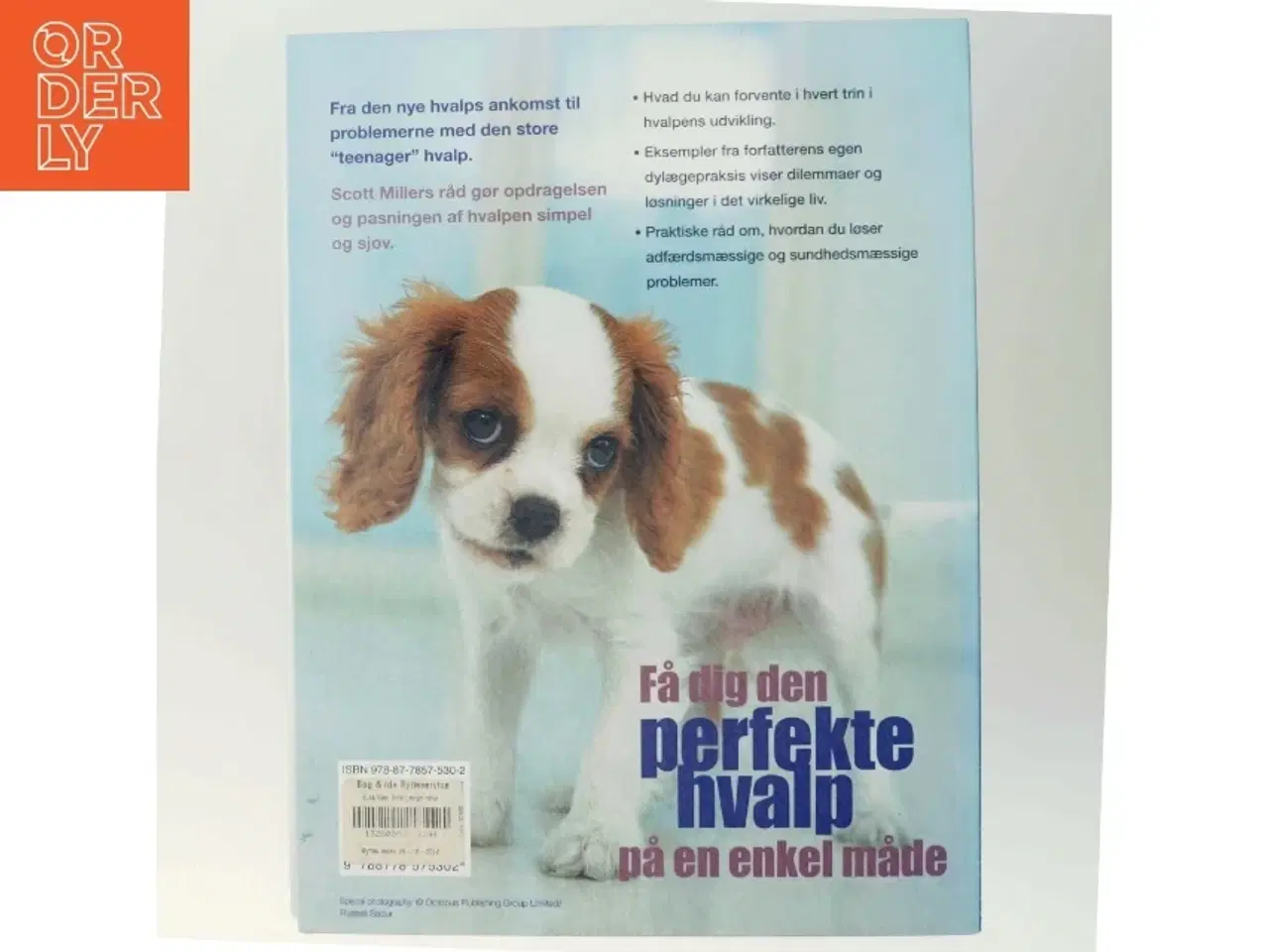 Billede 3 - Hvalpebogen af Scott Miller fra Atelier