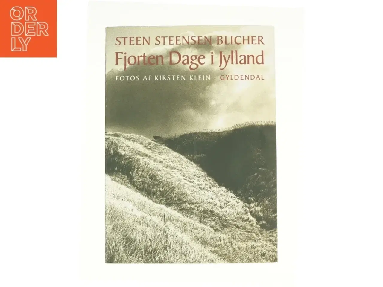 Billede 1 - Fjorten Dage i Jylland af Steen Steensen Blicher (f. 1782) (Bog)