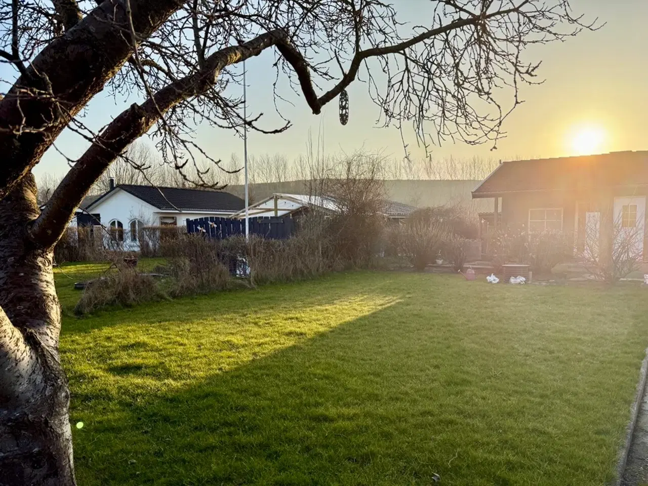 Billede 2 - Dejlig oase i Odense C - Kolonihave i Baagø