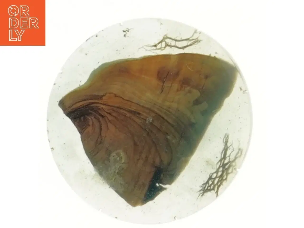 Billede 2 - Dekorativ bordskåner med naturmotiv (str. Ø 11 cm)