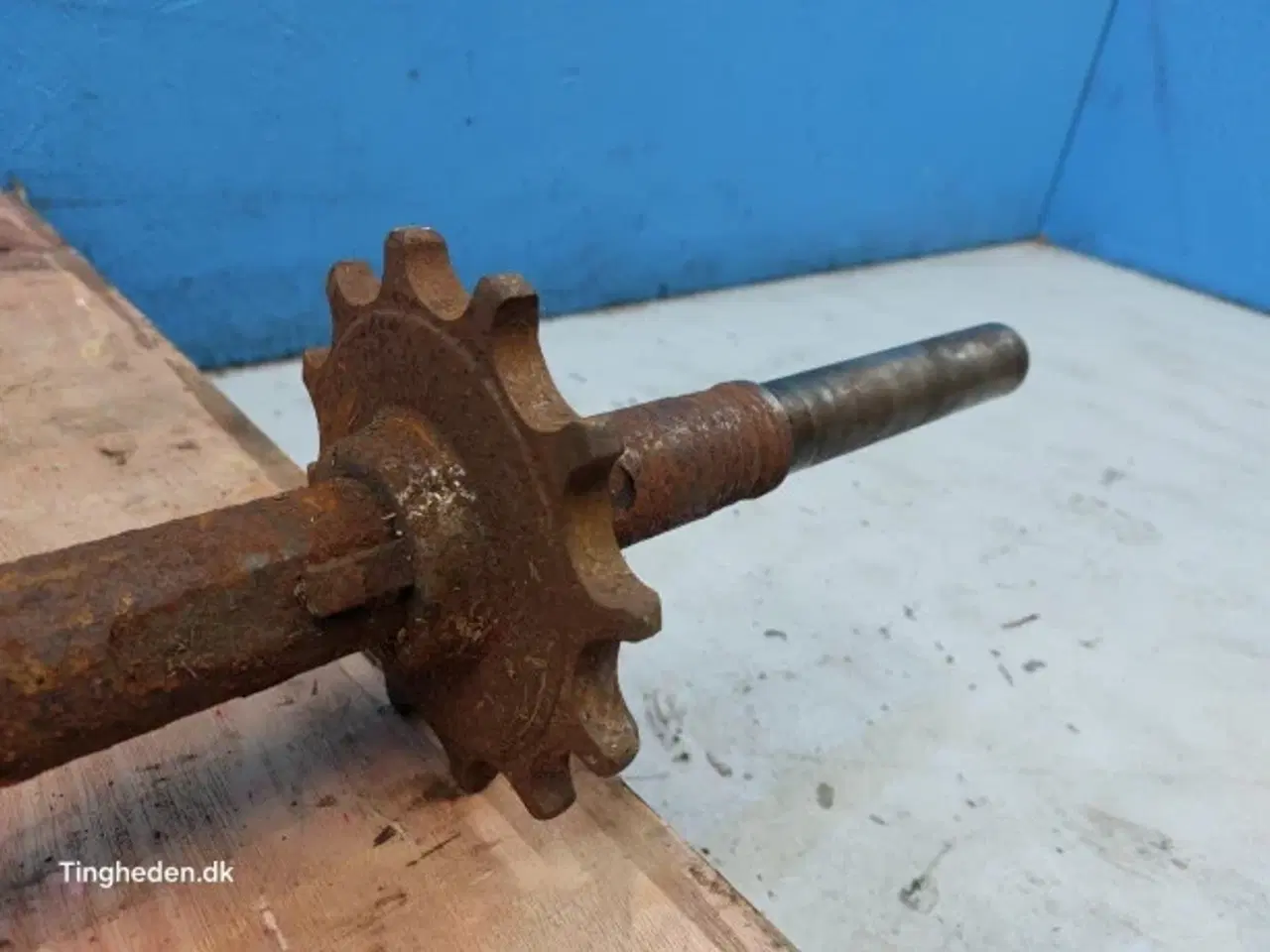 Billede 10 - Massey Ferguson 31 Aksel 28251751