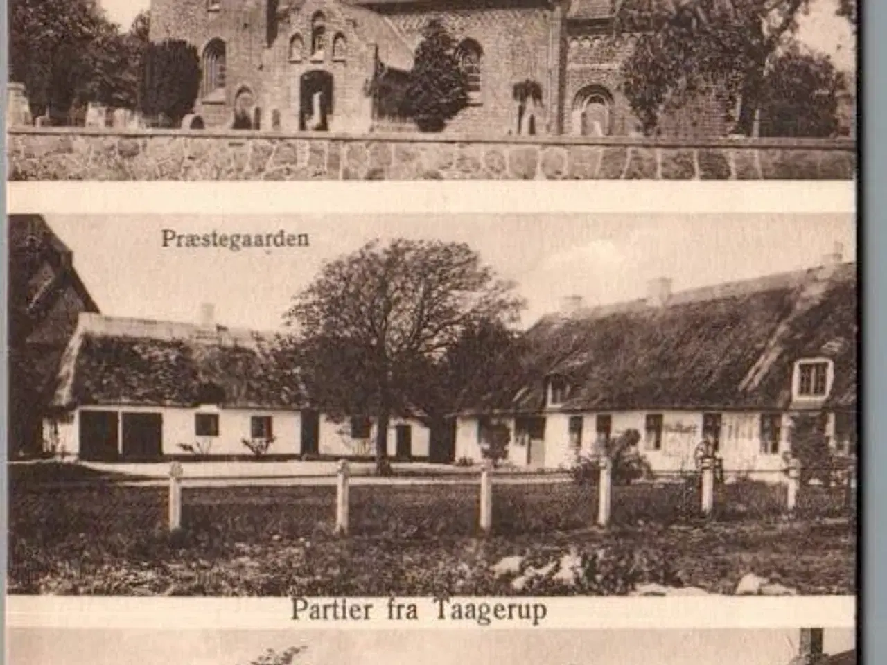 Billede 1 - Partier fra Taagerup - Postkort - Ubrugt