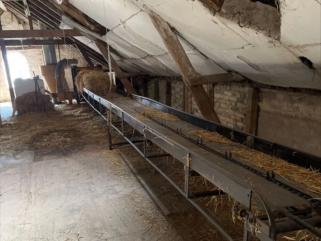 Billede 1 - Halmfyr med bane gratis hvis i fjerner det hele 