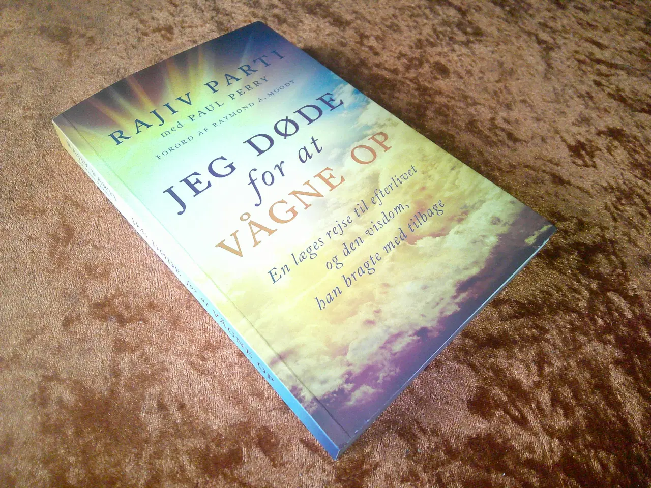 Billede 1 - Jeg døde for at vågne op , Rajiv Parti,