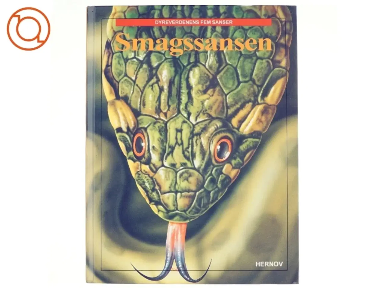 Billede 1 - Smagssansen - Dyreverdenens fem sanser (bog)