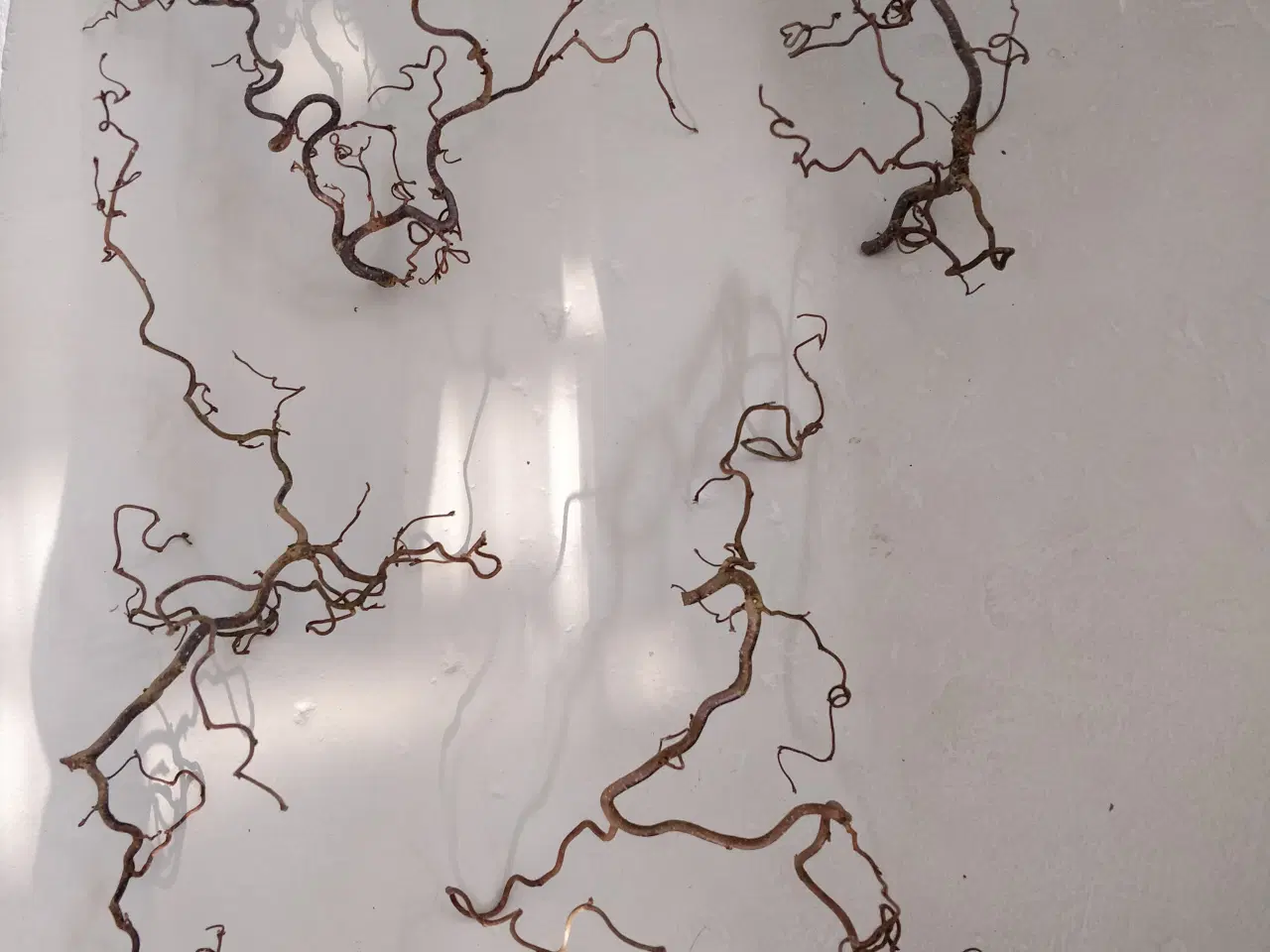 Billede 2 - Troldegrene