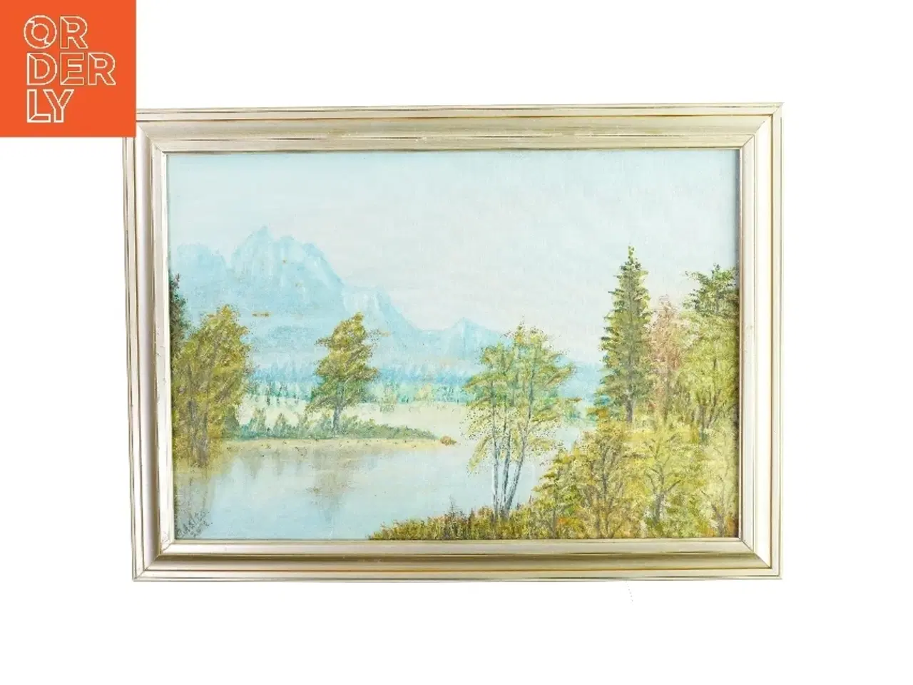 Billede 1 - Maleri i ramme natur billede  Ukendt (str. LB:62,5x46cm)