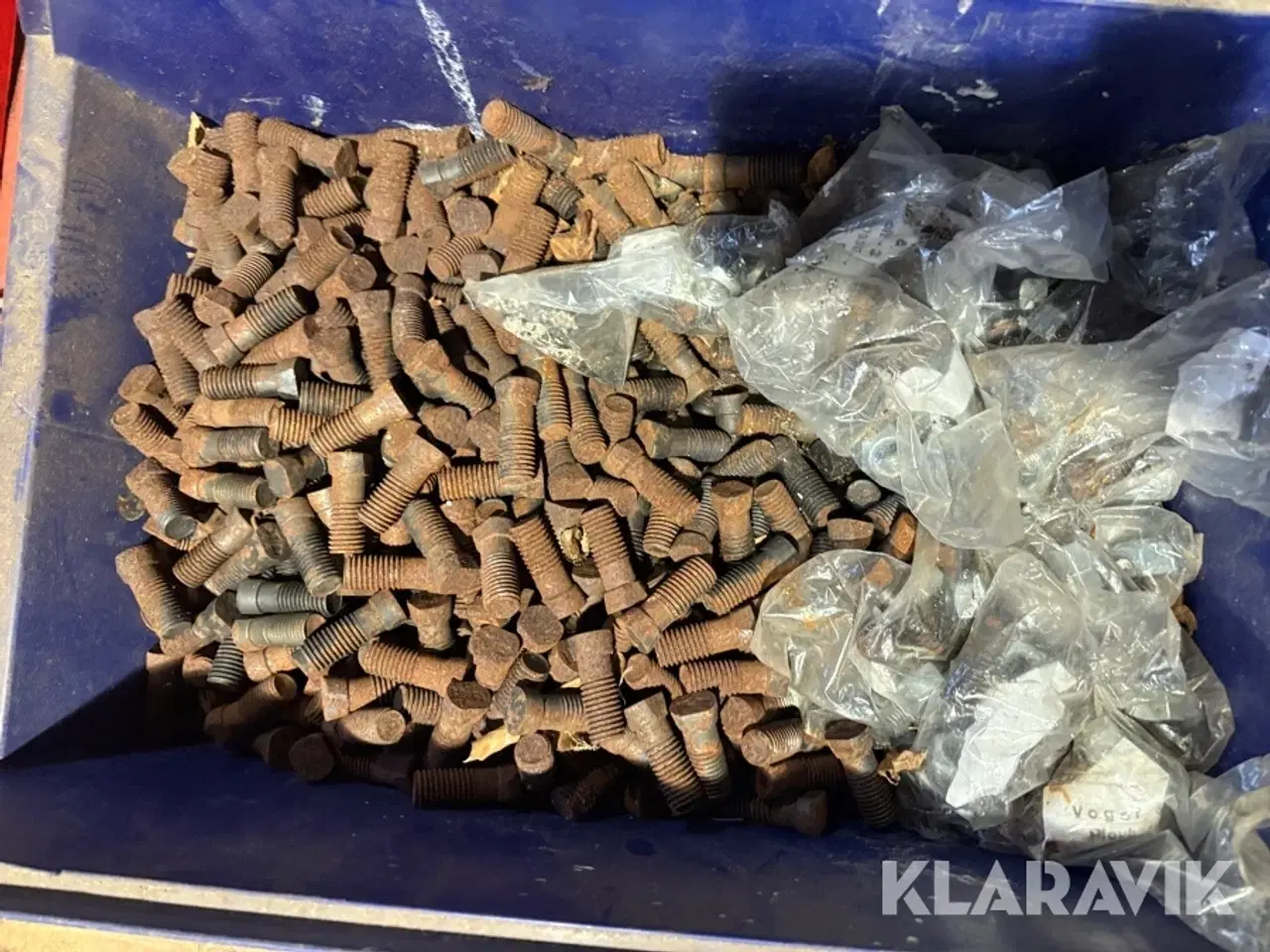 Billede 8 - Skær Vogel Og Noot 16 tommer - 75 styks