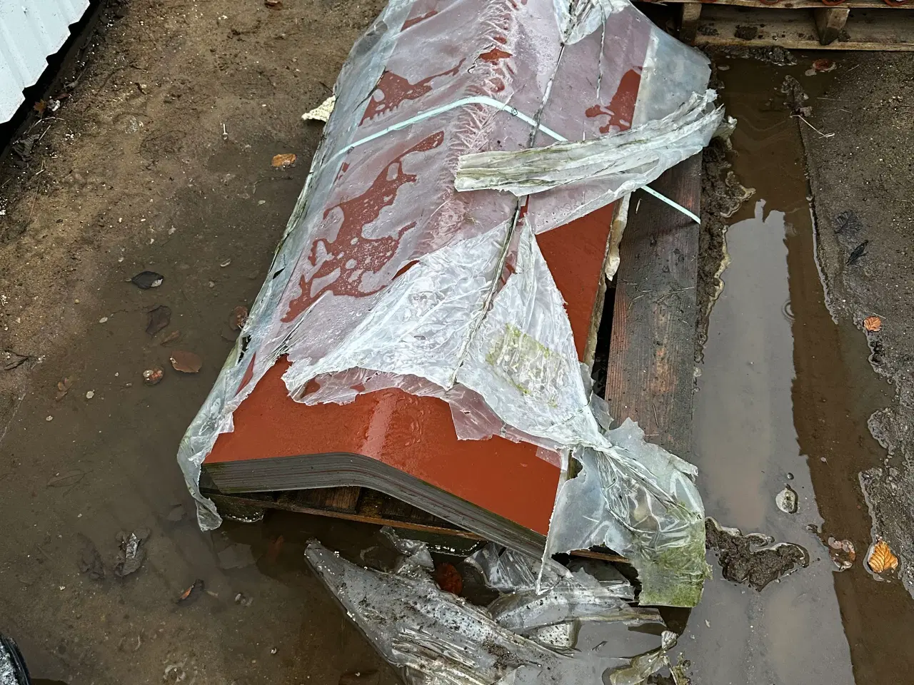 Billede 2 - 30 grader rygninger