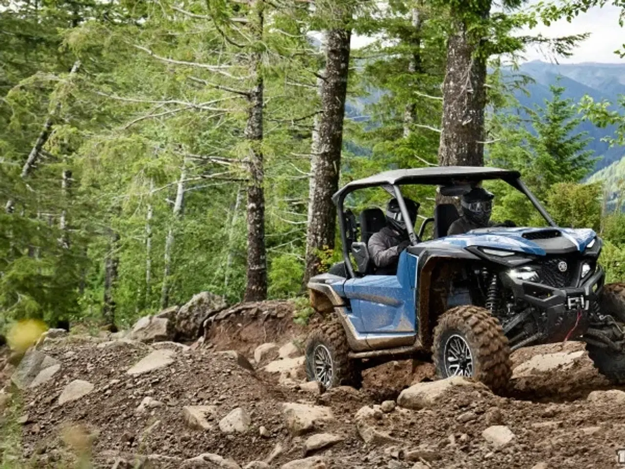 Billede 9 - Yamaha Wolverine RMAX2 1000 LE