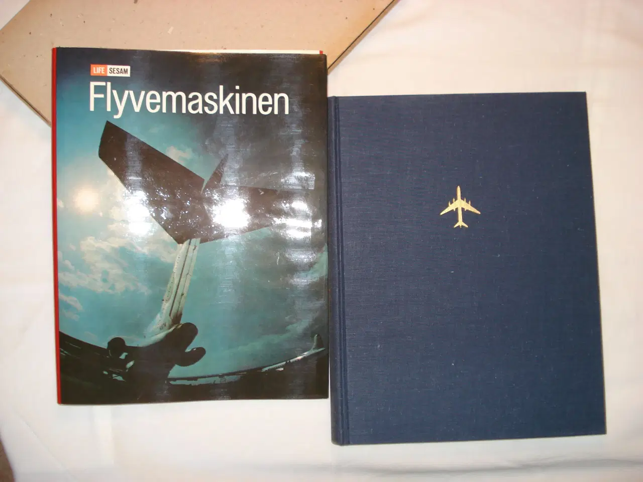 Billede 1 - Stever & Haggerty: 'Flyvemaskinen'.