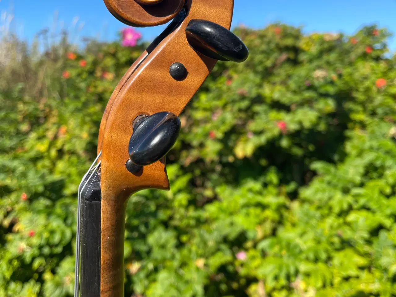 Billede 5 - Gammel Violin