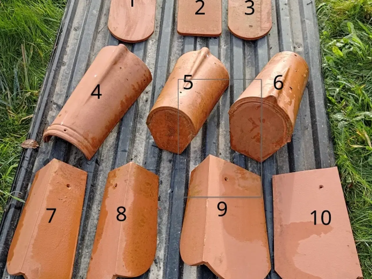 Billede 1 - Bæverhaletegl