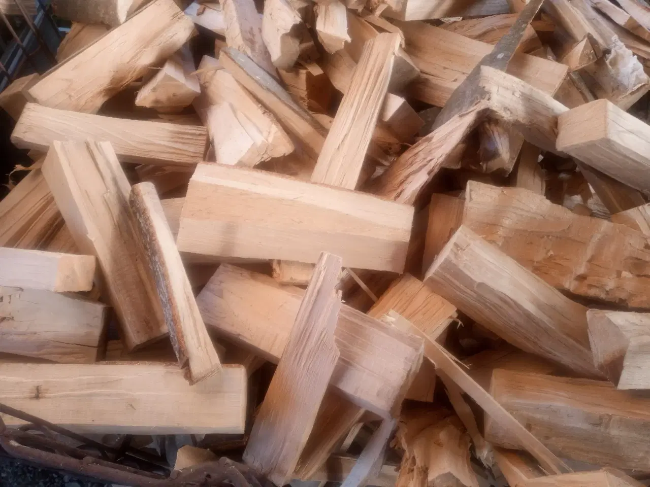 Billede 1 - Brænde, Bøg