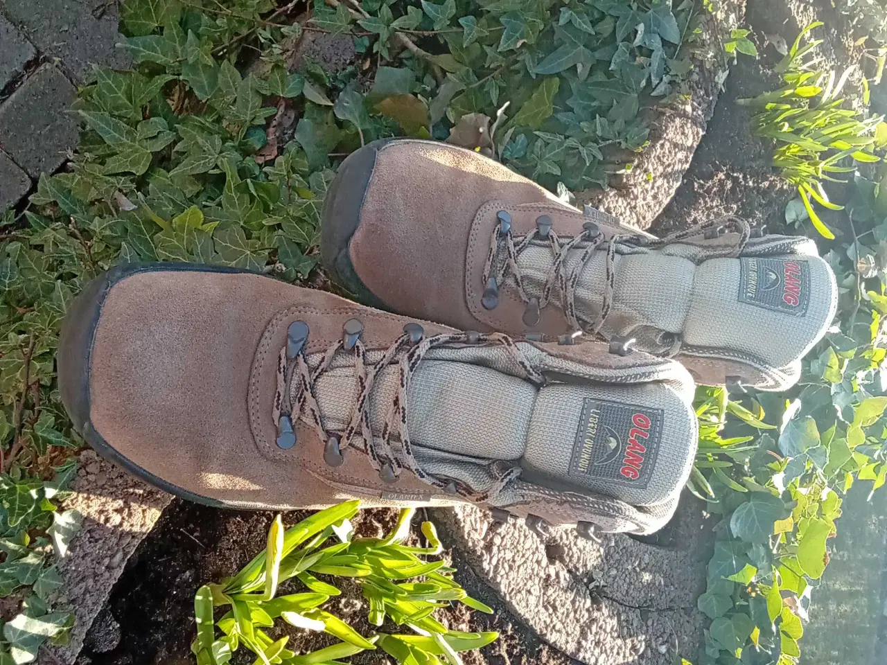 Billede 1 - Vandrestøvler, mrk. Olang