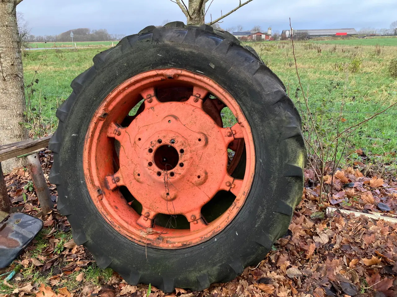 Billede 1 - Komplet sæt hjul til en Deutz 6006