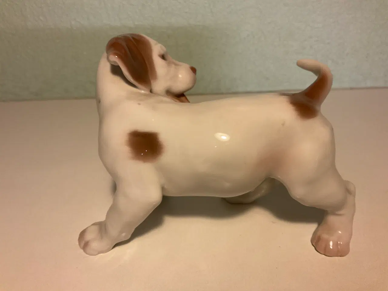 Billede 2 - B&G Pointerhvalp