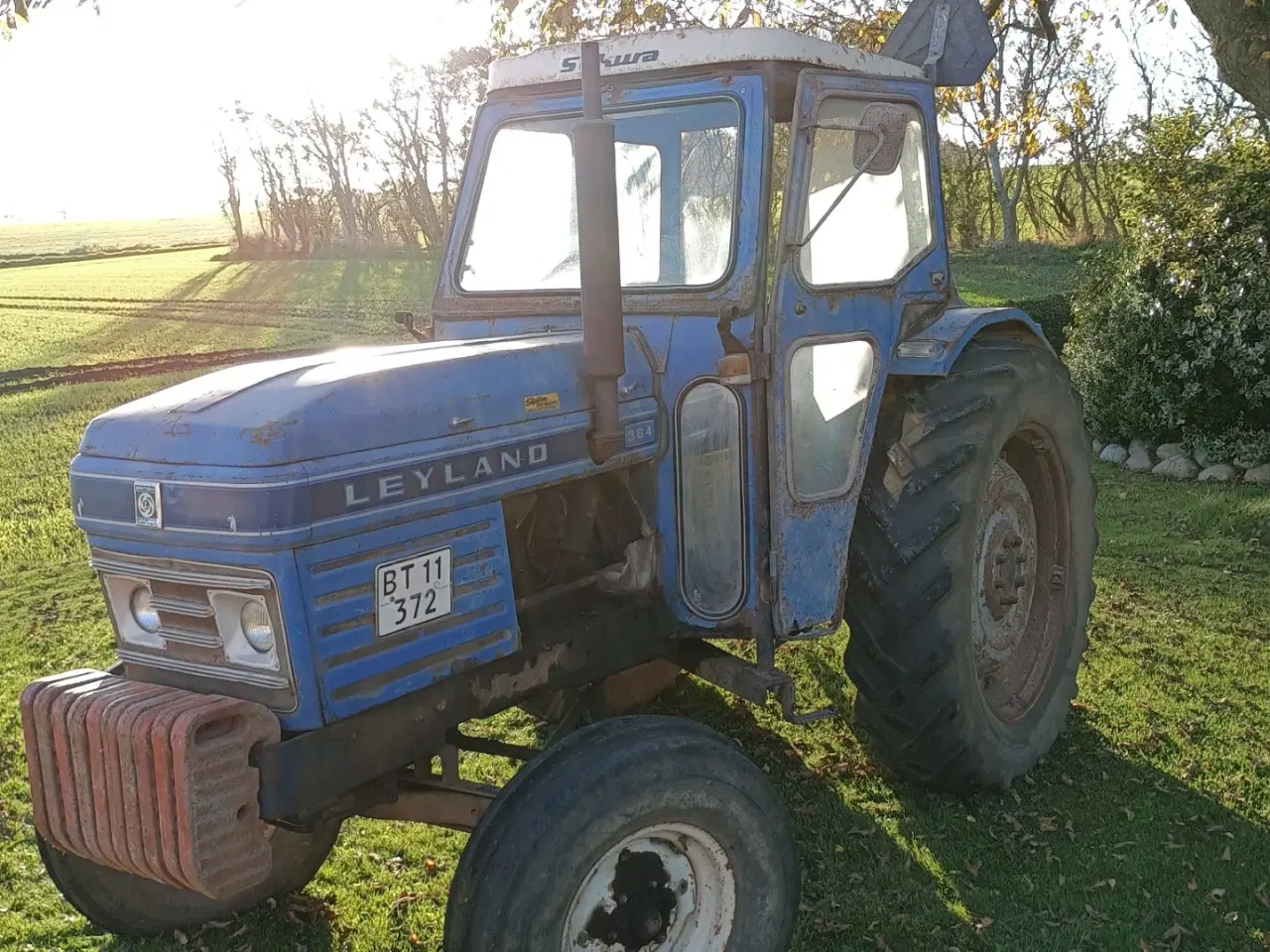 Billede 7 - Leyland 384