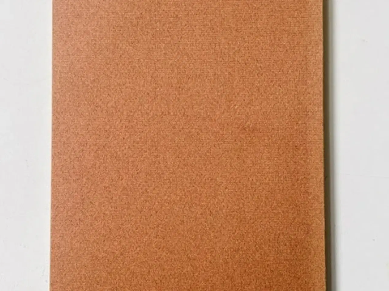 Billede 2 - Godsinspektør H.C. Davidsens Forbryderalbum