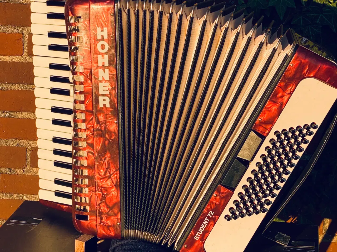 Billede 12 - Hohner Student 72 – solid og velspillende harmonik