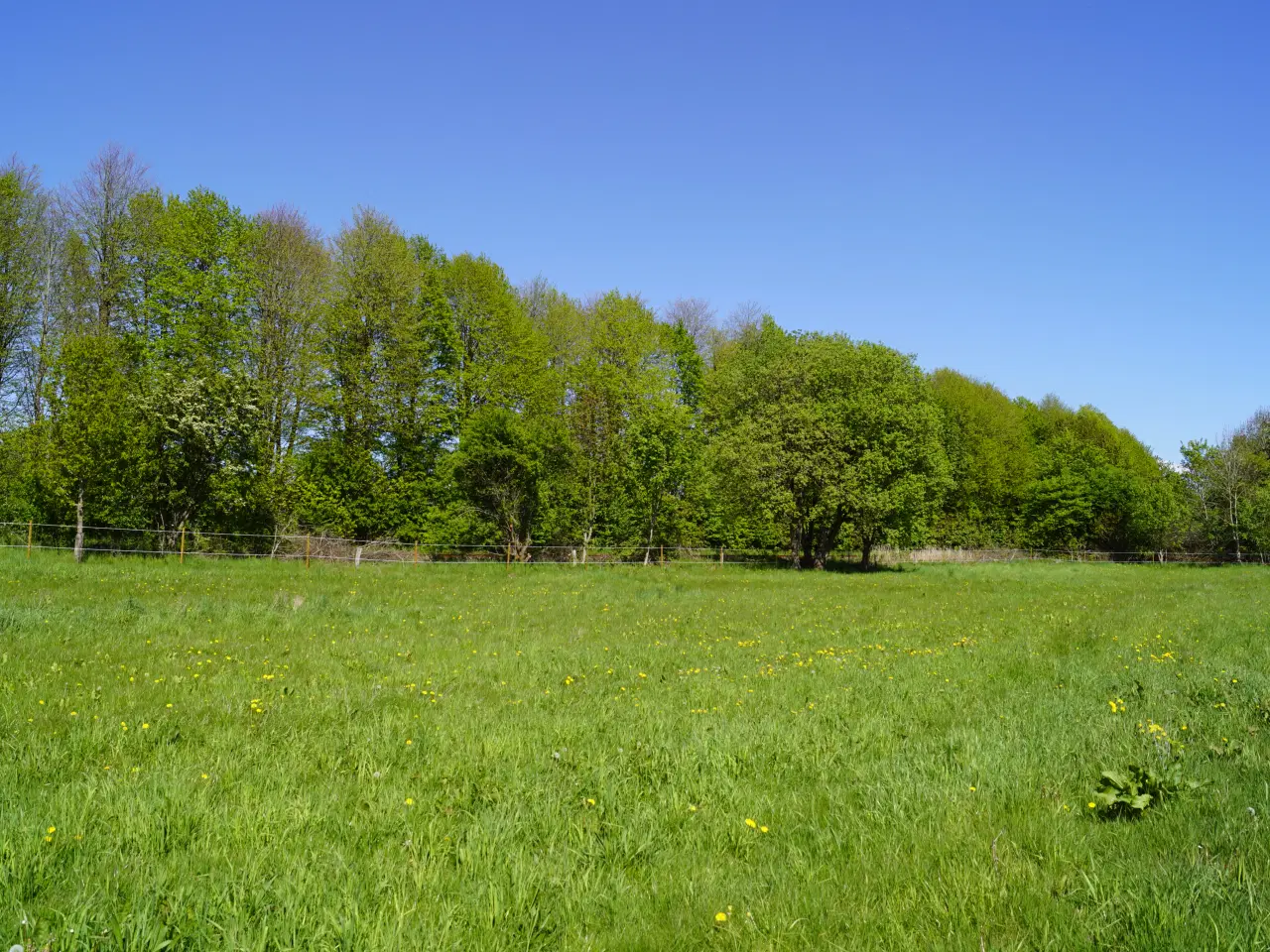 Billede 3 - Privat opstaldning i 7300 Jelling