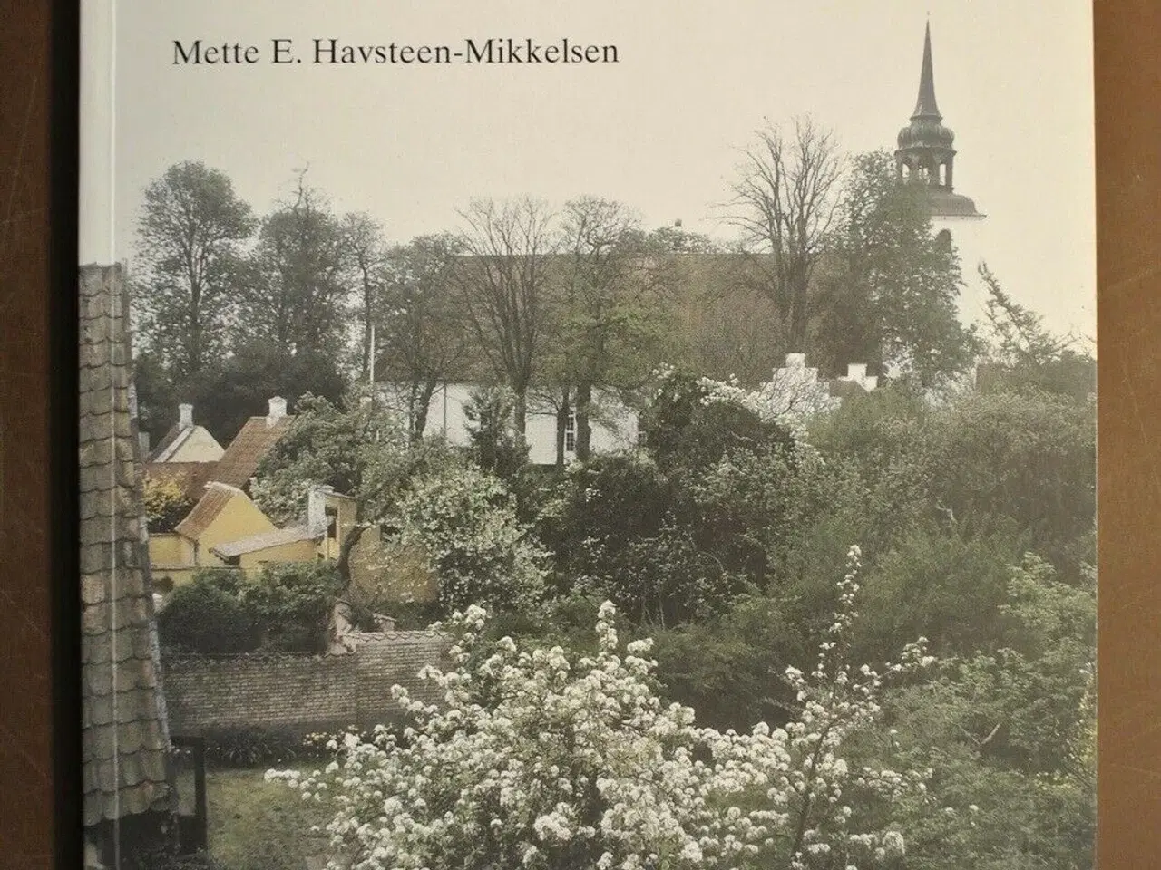 Billede 1 - havekultur i ærøskøbing, af mette e. havsteen-mikk