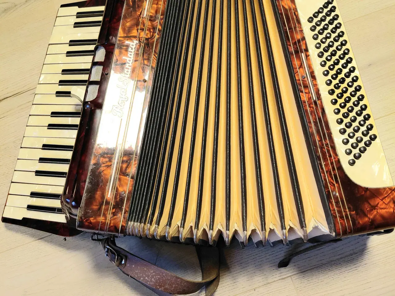 Billede 3 - Harmonika RoyalStandard