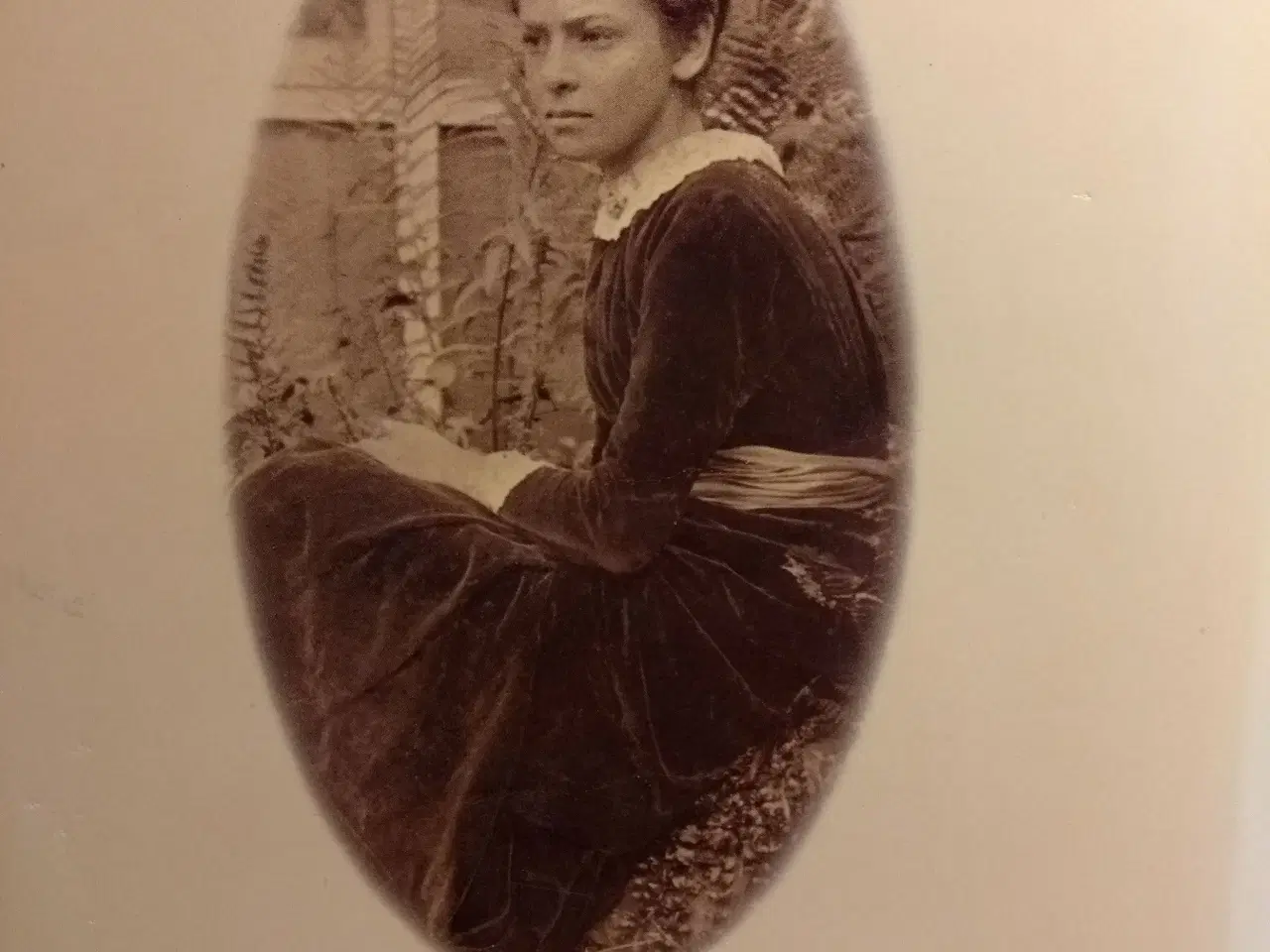 Billede 2 - naturdagbog af en engelsk dame 1906