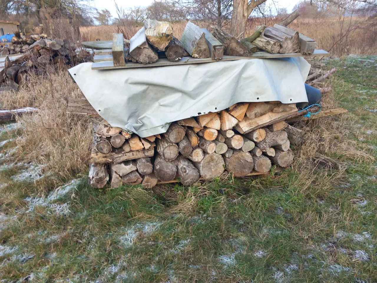 Billede 3 - Brænde, billigt
